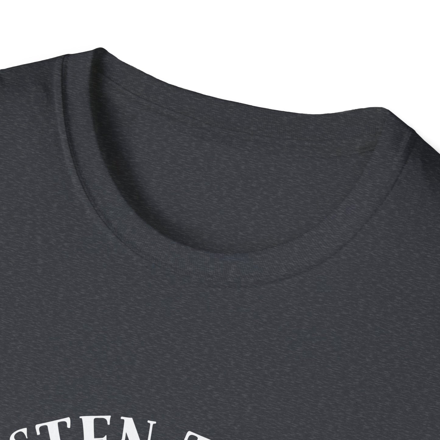 Pink Floyd Music Lover T-Shirt, Casual Tee for Concerts, Gift for Rock Fans, Unisex Softstyle Shirt, Music Merch