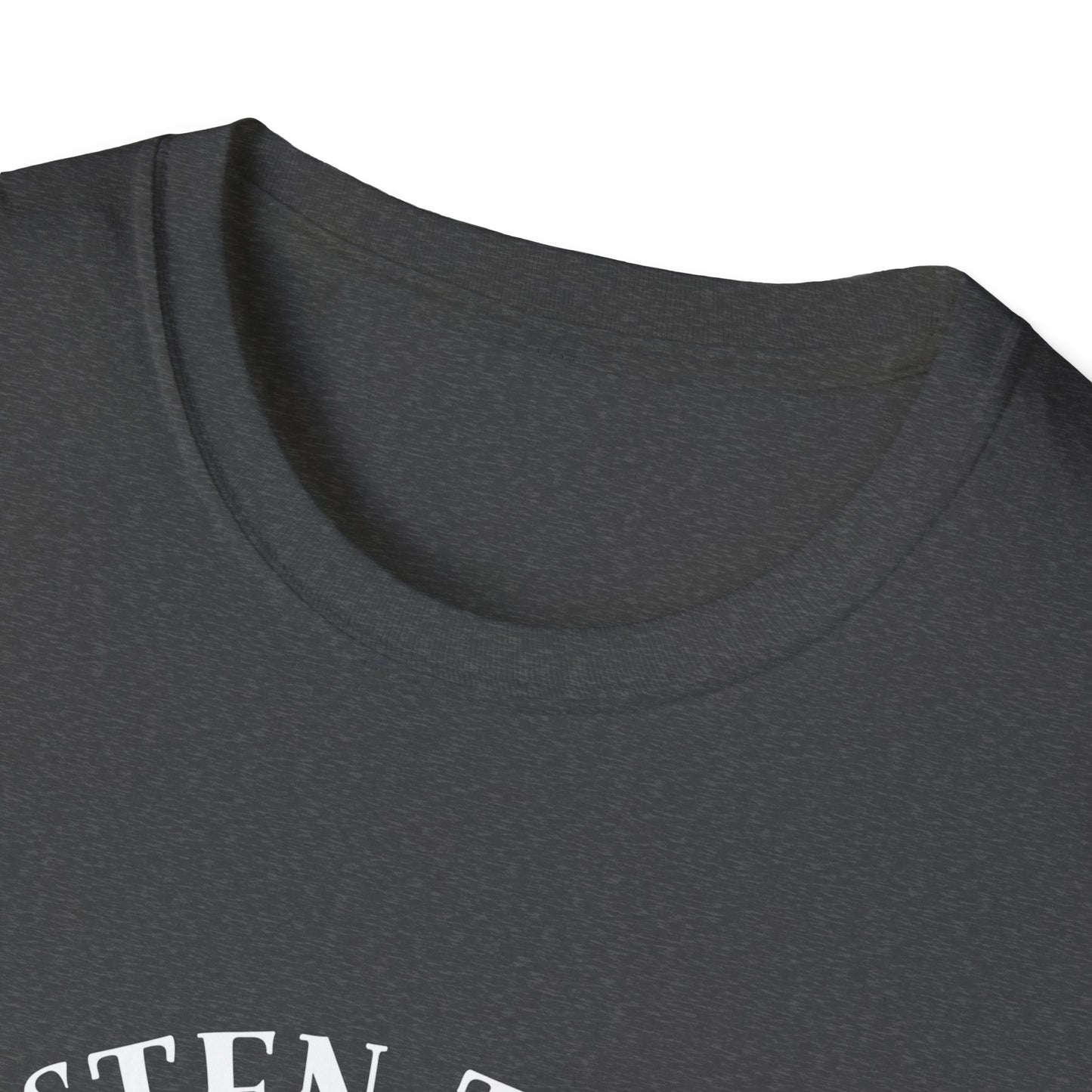 Pink Floyd Music Lover T-Shirt, Casual Tee for Concerts, Gift for Rock Fans, Unisex Softstyle Shirt, Music Merch
