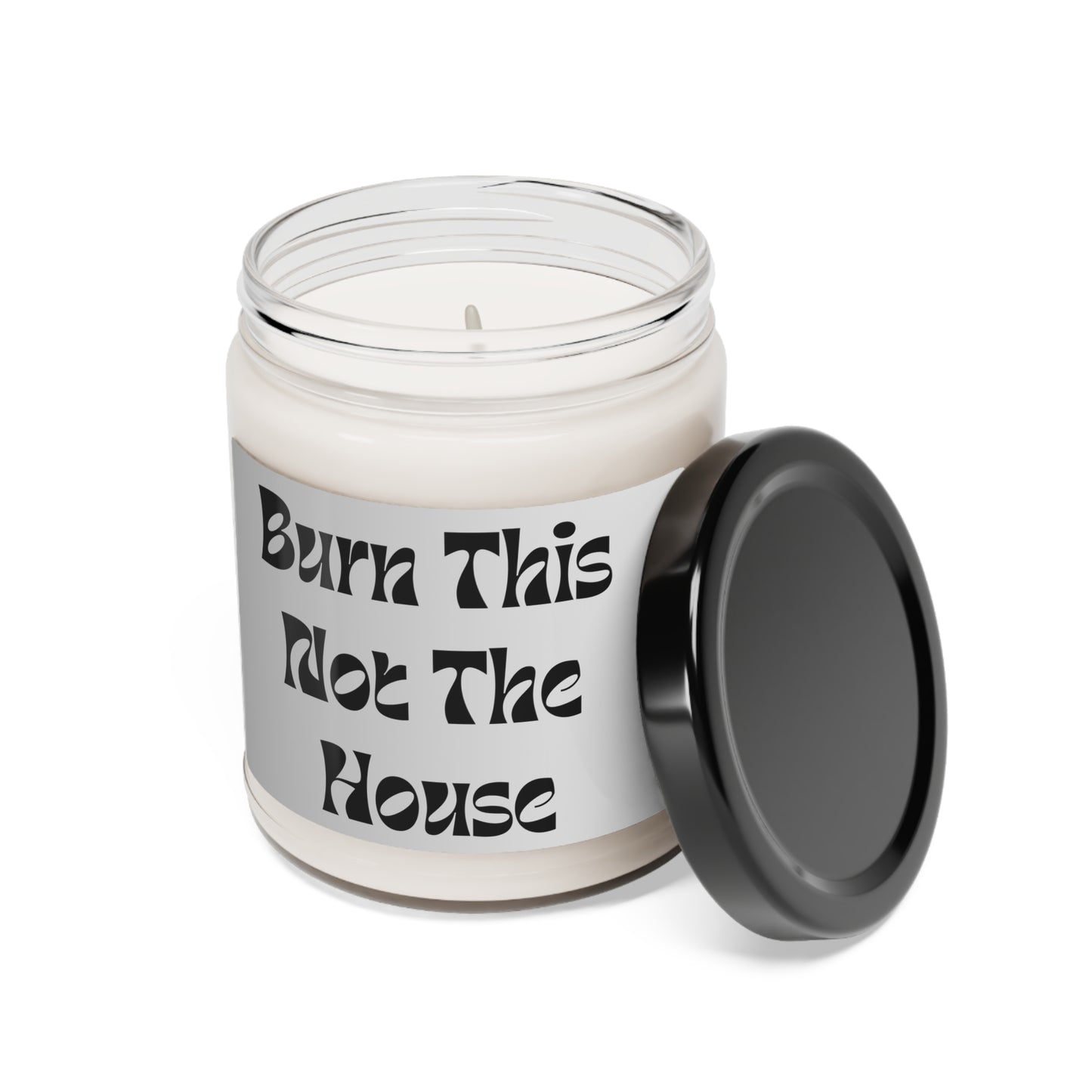 Funny Burn This Candle Variety Scents Soy Candle, 9oz size